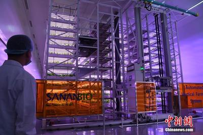 走进智能植物工厂 无土无阳光如何借数据处理培育美味佳肴